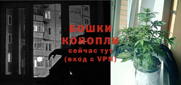 PSILOCYBIN Беломорск