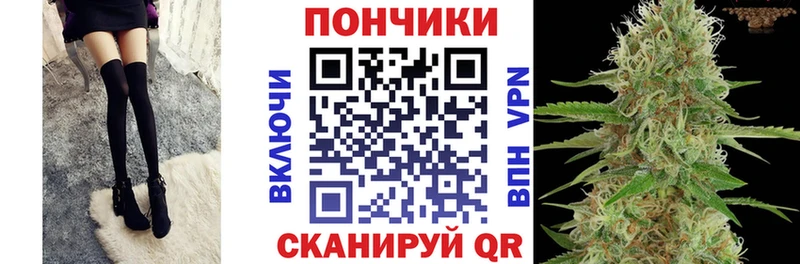 Бошки марихуана гибрид omg ссылки Пестово закладки